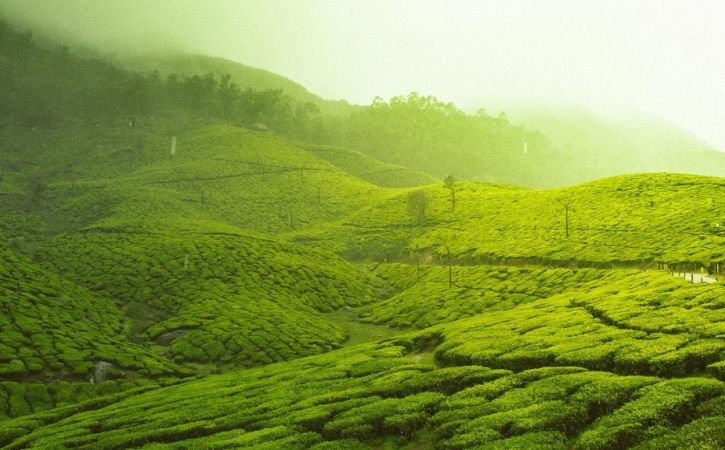 Is Sri Lanka Safe?