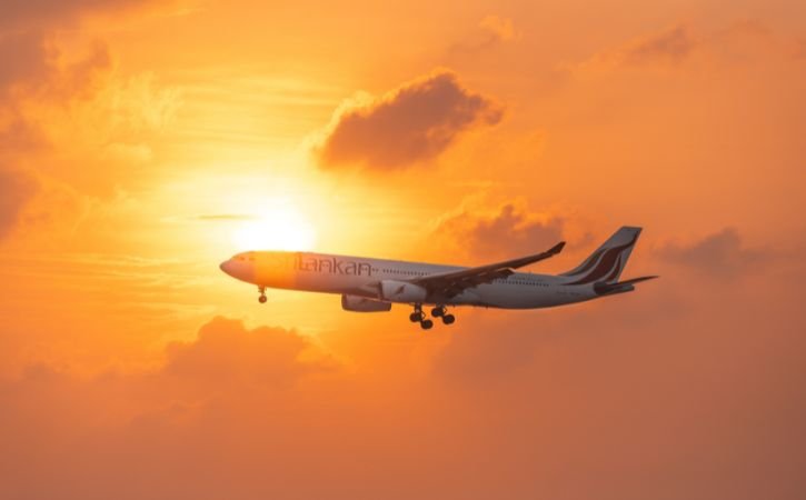 Domestic Travel Info