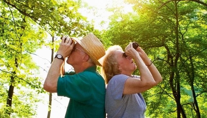 Bird Watching