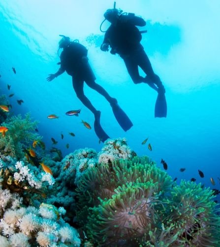 Scuba Diving