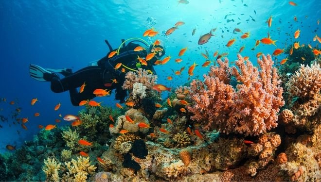 Diving