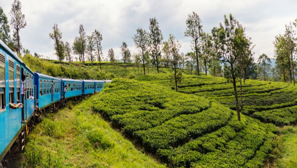Train to the Hills