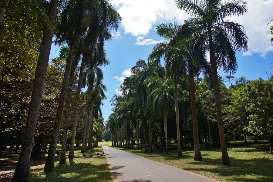 Kandy Day Tour (11)