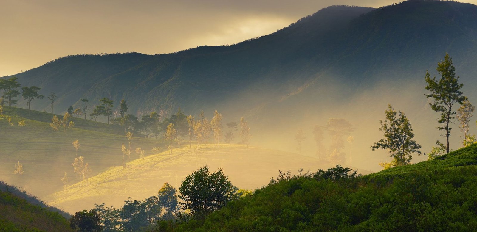 Misty Mountains