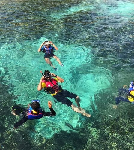 Snorkeling