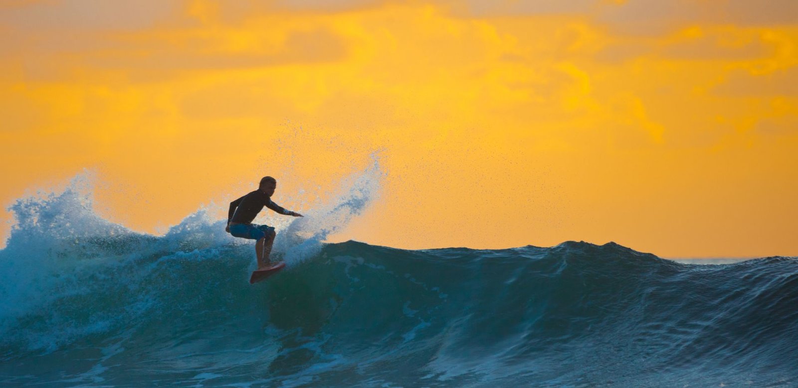 Surfer 2
