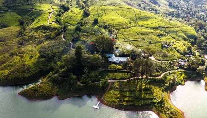 Tea Trails Hotel