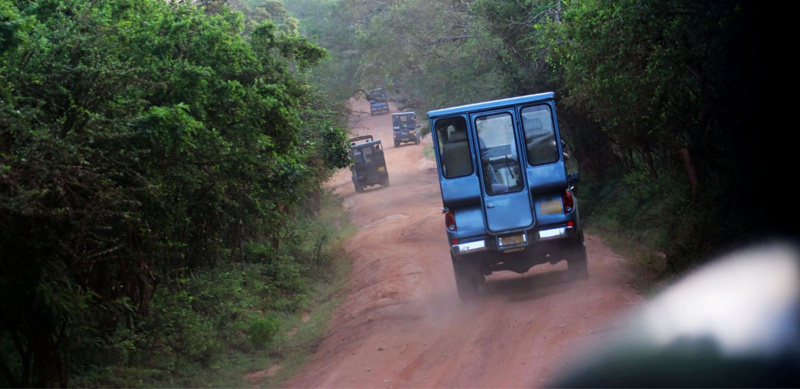Yala Safari