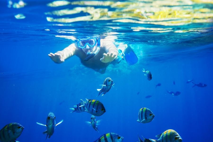 Pigeon Island Snorkeling 