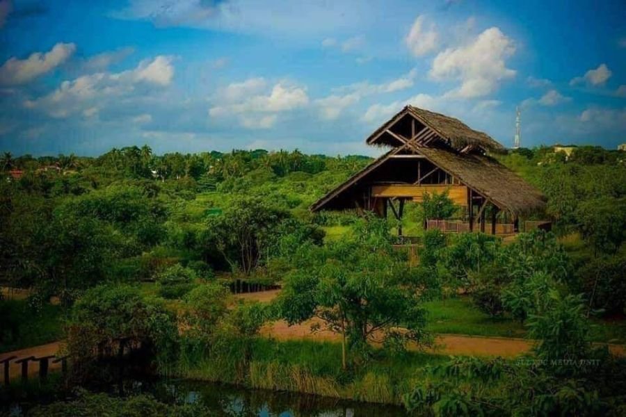 diyasaru park (1)