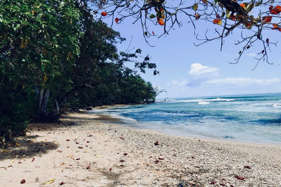 jungle beach