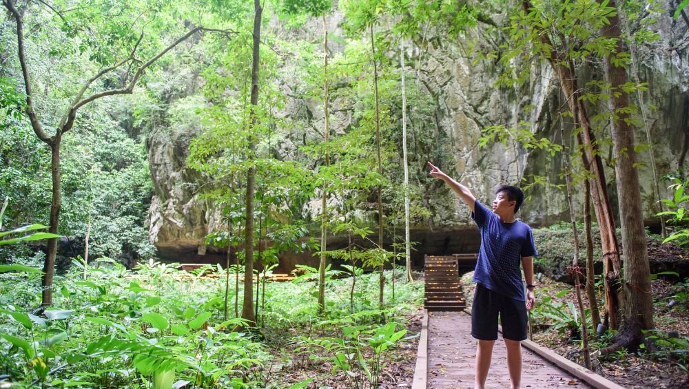 Jungle Trekking