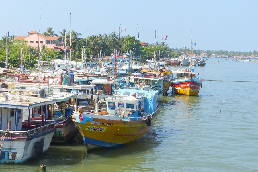 Negombo Lagoon Fishing 