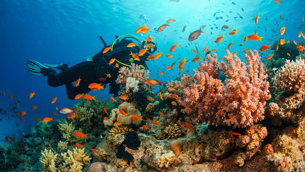 Scuba Diving